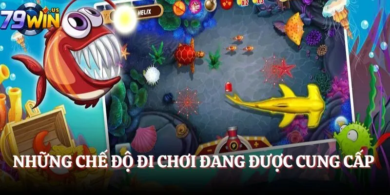 Những chế độ đi chơi đang được cung cấp 