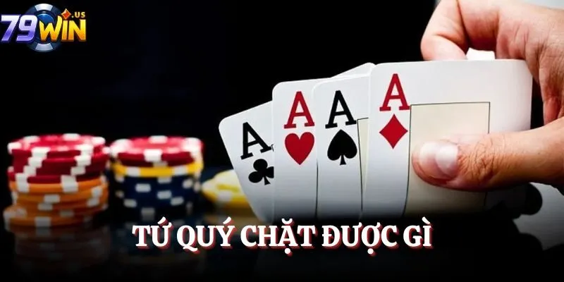 Tứ Quý Chặt Được Gì? Cùng 79WIN Đi Tìm Câu Trả Lời 7 tu quy chat duoc gi avt